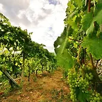 Barilaro Agroturismo *