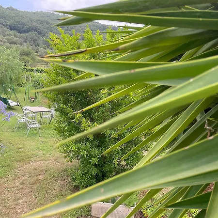 Alloggio per agriturismo Barilaro *