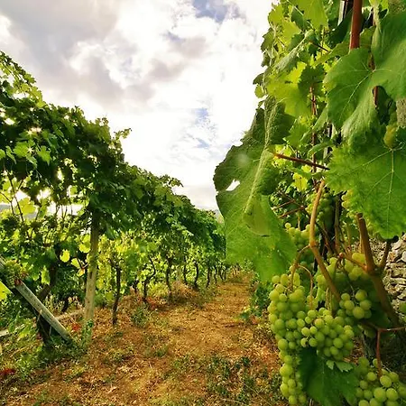Barilaro Alloggio per agriturismo *