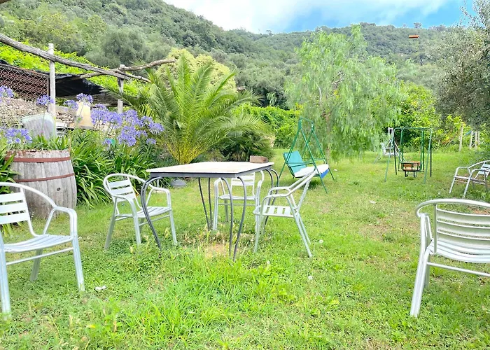 Barilaro